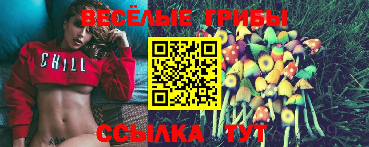 Псилоцибиновые грибы Magic Shrooms  Вход с VPN  Советский  что такое   Псилоцибиновые грибы Cubensis 